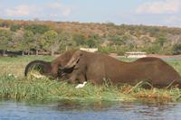 ein besonderes Erlebnis