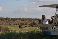 Wir sind ganz nah dran!