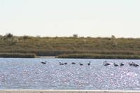 Salzpfanne noch mit Wasser
