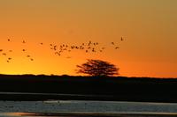 Romantischer Tagesabschluss