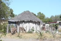 Rundhütten in Gweta