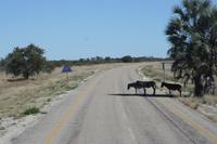 Waren die zu schnell?