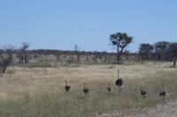 Von denen kann man auch kein Bußgeld erwarten!