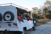 Ausflug ins Moremi Crossing