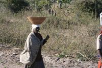 Was die Leute auf dem Kopf tragen