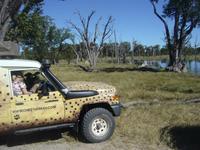 Löwen im Anmarsch, psst!