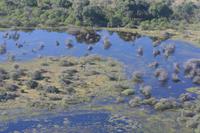 Das Okavango Delta