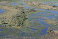 und unvergleichbar schön