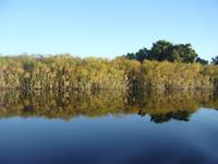 Mitten im westlichen Delta