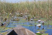 Himmlisch, diese Ruhe