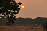 Simbabwe - Hwange Safari Lodge - Sonnenaufgang