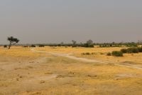 Morgendliche Pirschfahrt im Hwange NP in Simbabwe