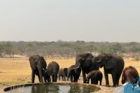 Hwange Safari Lodge - Stell-Dich-Ein mit Elefanten am Wasserloch