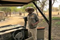 Pirschfahrt am Nachmittag im Hwange NP