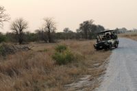 Pirschfahrt am Nachmittag im Hwange NP