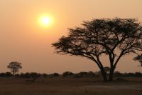 Pirschfahrt am Nachmittag im Hwange NP - die Sonne bereitet ihren Abgang vor