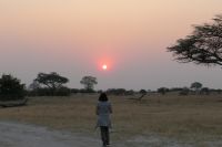 Pirschfahrt am Nachmittag im Hwange NP -  Sonnenuntergang