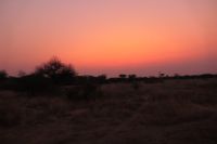 Sonnenuntergang im Hwange NP