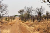 Unterwegs nach Botswana