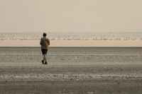 Sowa Salz Pan mit Flamingos