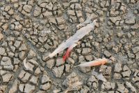 ausgetrockneter, steinharter Boden der Salzpfanne