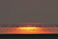 Sonnenuntergang in der Salzpfanne