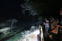 Mogotlho Lodge- Abendessen mit Hippos