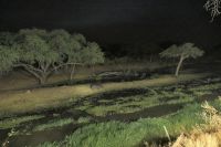 Mogotlho Lodge- Abendessen mit Hippos