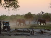 Elefanten pünktlich zum Sundowner