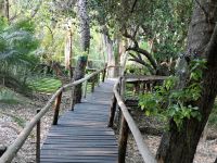 westliches Delta - Nguma Island Lodge