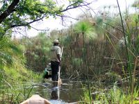 Mokoro Tour im westlichen Delta