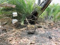 komfortable, mobile Busch-Toilette