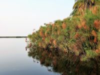 Bootstour im westlichen Delta - Guma Lagoon
