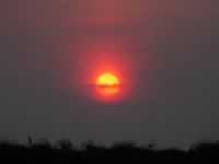 Bootstour im westlichen Delta - Sonnenuntergang
