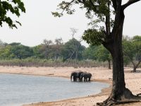 Pirschfahrt im Bwabwata Nationalpark - Elefanten am Kwando