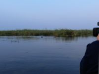 Bootsfahrt auf dem Kwando - Hippo Blockade