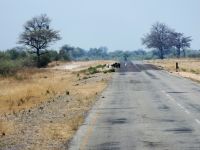 Unterwegs in Namibia