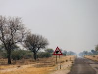 Unterwegs in Botswana