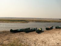 Kanu Tour auf dem Chobe