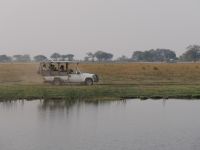 Pirschfahrt am Chobe