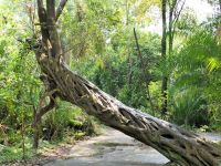 Simbabwe - Nationalpark Victoria Wasserfälle