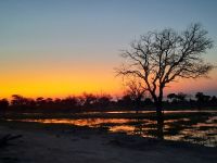 Sonnenuntergang am Khwai