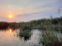 Bootsfahrt auf dem Kwando - Sonnenuntergang