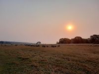 Pirschfahrt am Chobe - Sonnenuntergang