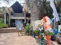 Simbabwe - Vic Falls - Elephants Walk Village