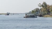 Bootsfahrt auf dem Chobe