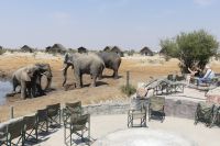 Elephant Sands bei Nata