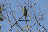 Besucher der Nata Lodge
