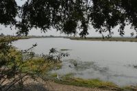 Pirschfahrt im Mahango Park