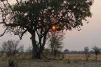 Bootstour Kwando mit Sundowner